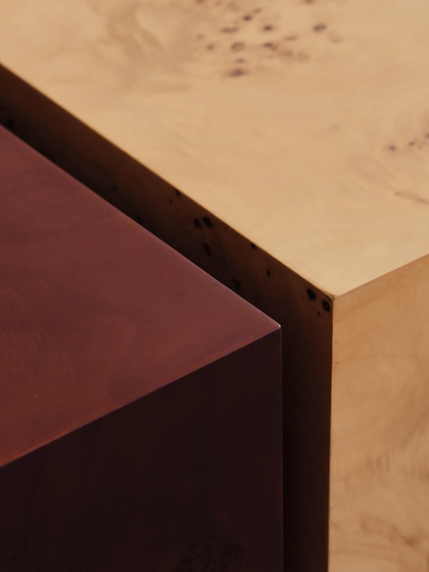 Burl Storage Coffee Table - Natural - Image 2