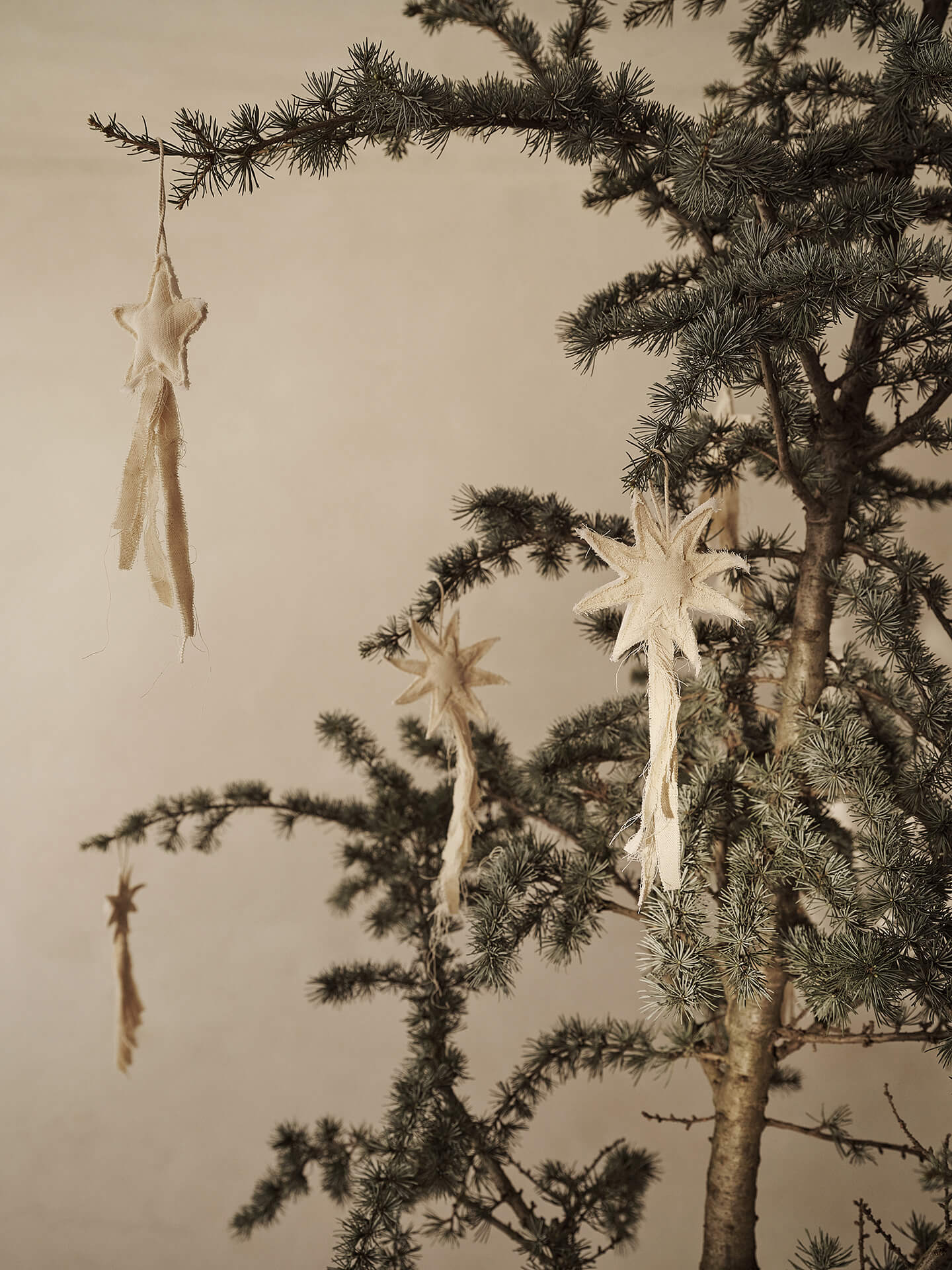 Vela Star Ornaments - Set of 4 - Natural - Image 2